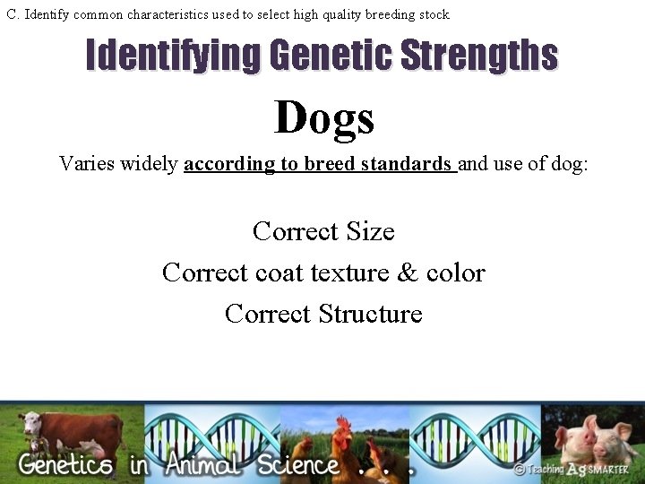 C. Identify common characteristics used to select high quality breeding stock Identifying Genetic Strengths