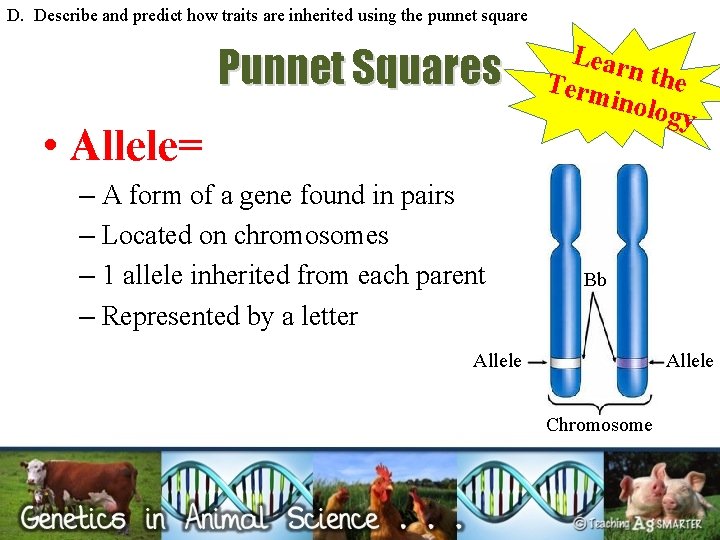 D. Describe and predict how traits are inherited using the punnet square Punnet Squares