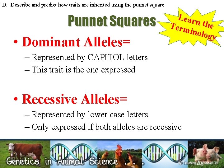 D. Describe and predict how traits are inherited using the punnet square Punnet Squares