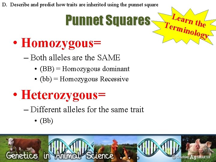 D. Describe and predict how traits are inherited using the punnet square Punnet Squares