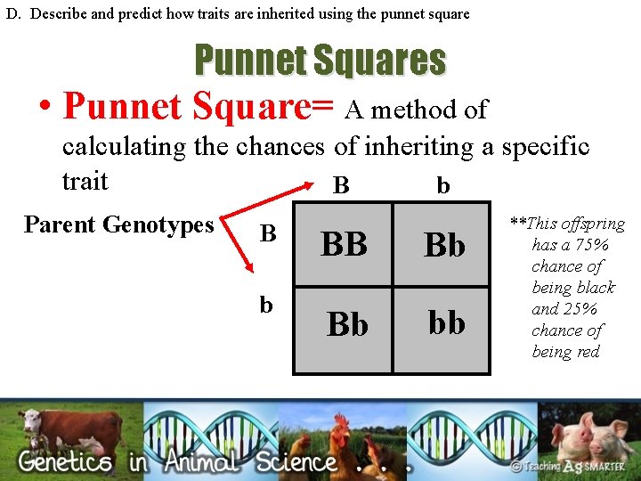 D. Describe and predict how traits are inherited using the punnet square Punnet Squares