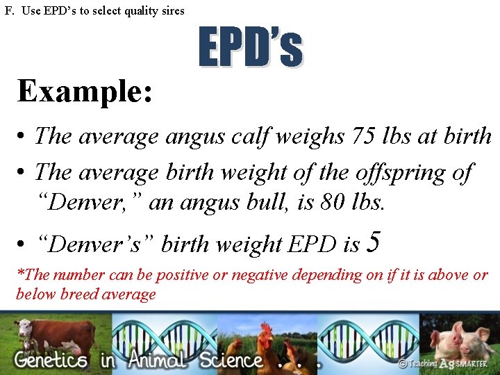 F. Use EPD’s to select quality sires Example: EPD’s • The average angus calf