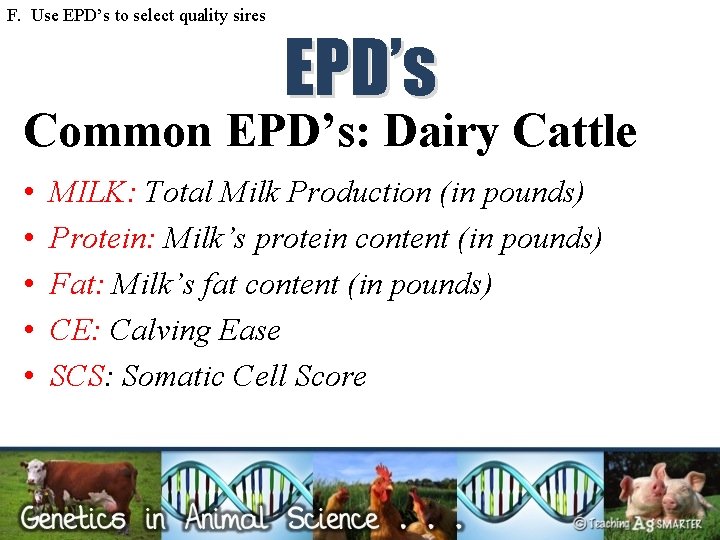 F. Use EPD’s to select quality sires EPD’s Common EPD’s: Dairy Cattle • •