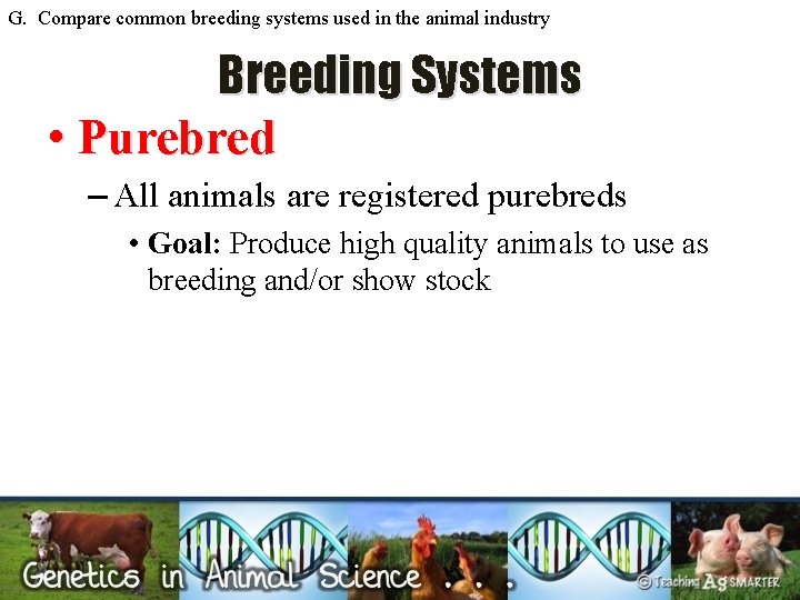 G. Compare common breeding systems used in the animal industry Breeding Systems • Purebred