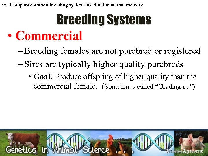 G. Compare common breeding systems used in the animal industry Breeding Systems • Commercial