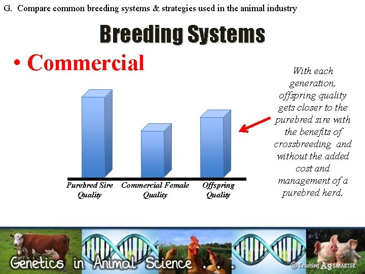 G. Compare common breeding systems & strategies used in the animal industry Breeding Systems