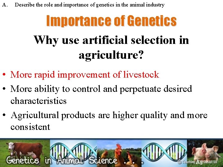 A. Describe the role and importance of genetics in the animal industry Importance of