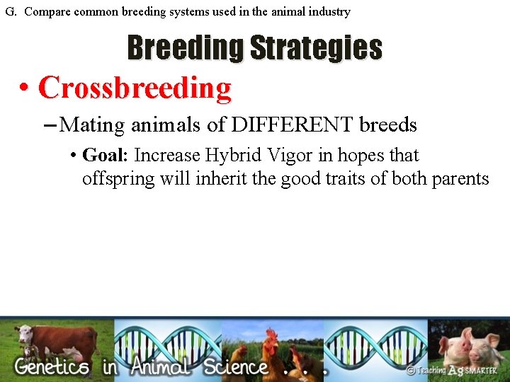 G. Compare common breeding systems used in the animal industry Breeding Strategies • Crossbreeding