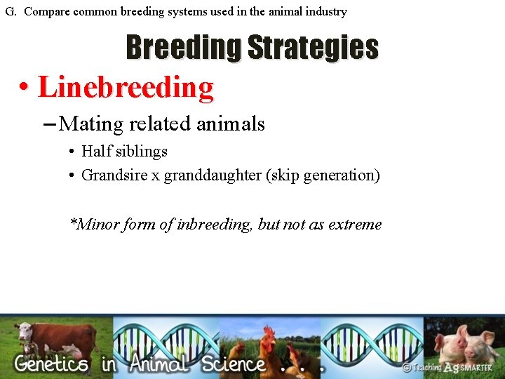 G. Compare common breeding systems used in the animal industry Breeding Strategies • Linebreeding