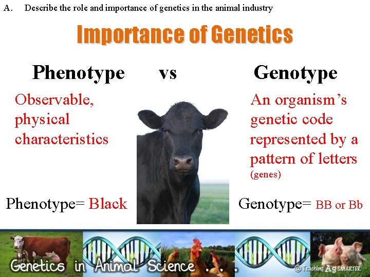 A. Describe the role and importance of genetics in the animal industry Importance of