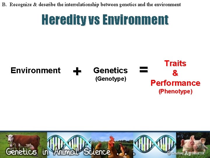 B. Recognize & describe the interrelationship between genetics and the environment Heredity vs Environment