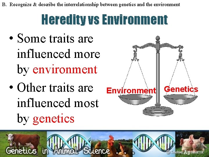 B. Recognize & describe the interrelationship between genetics and the environment Heredity vs Environment