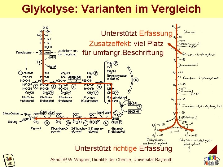 Glykolyse: Varianten im Vergleich Unterstützt Erfassung Zusatzeffekt: viel Platz für umfangr. Beschriftung Unterstützt richtige Glykolyse: Varianten im Vergleich Unterstützt Erfassung Zusatzeffekt: viel Platz für umfangr. Beschriftung Unterstützt richtige
