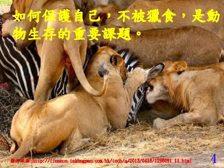 如何保護自己，不被獵食，是動 物生存的重要課題。 圖片來源: http: //finance. takungpao. com. hk/tech/q/2013/0418/1296091_11. html 4 