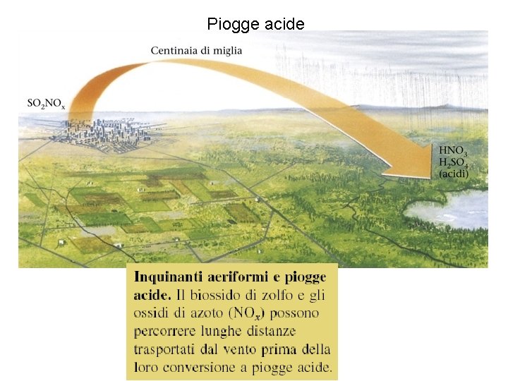 Piogge acide Figura A: inquinanti aeriformi e piogge acide 