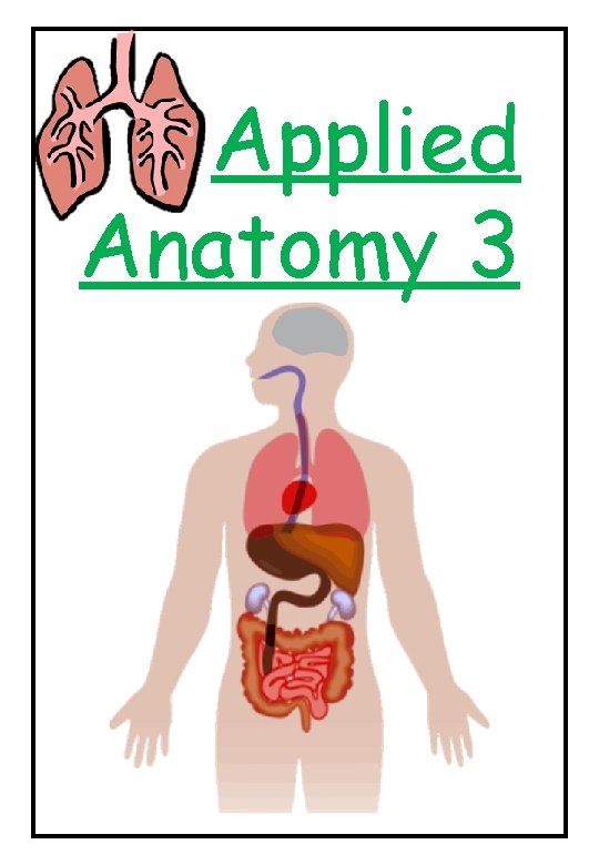 Applied Anatomy 3 