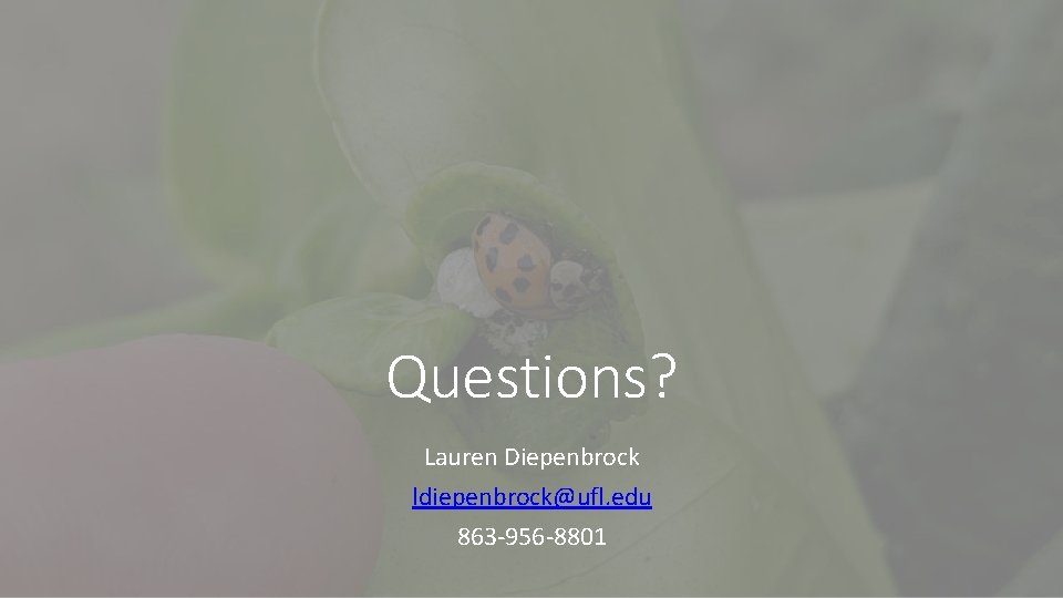 Questions? Lauren Diepenbrock ldiepenbrock@ufl. edu 863 -956 -8801 