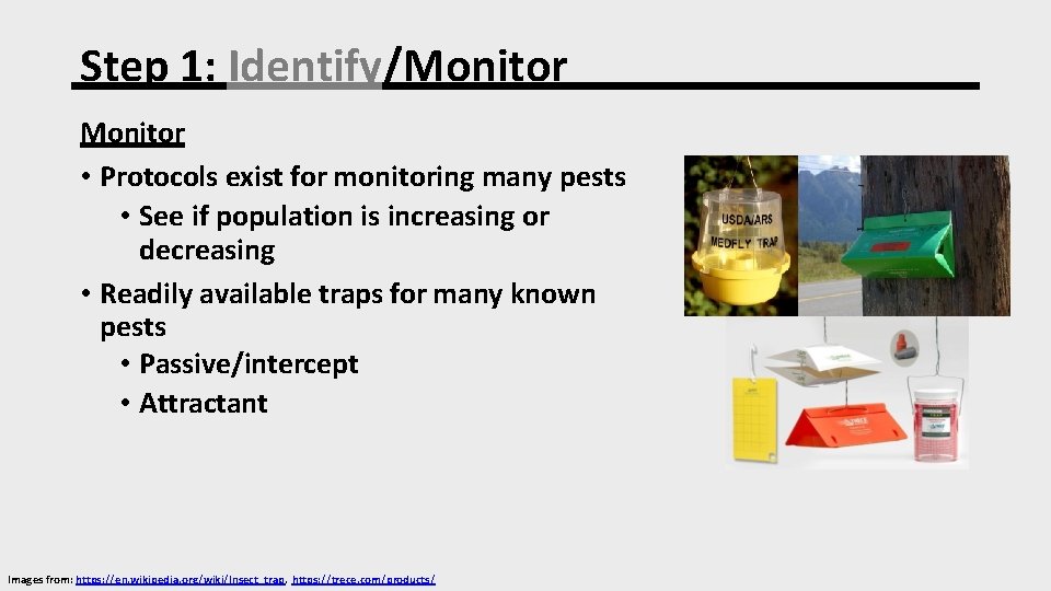 Step 1: Identify/Monitor • Protocols exist for monitoring many pests • See if population