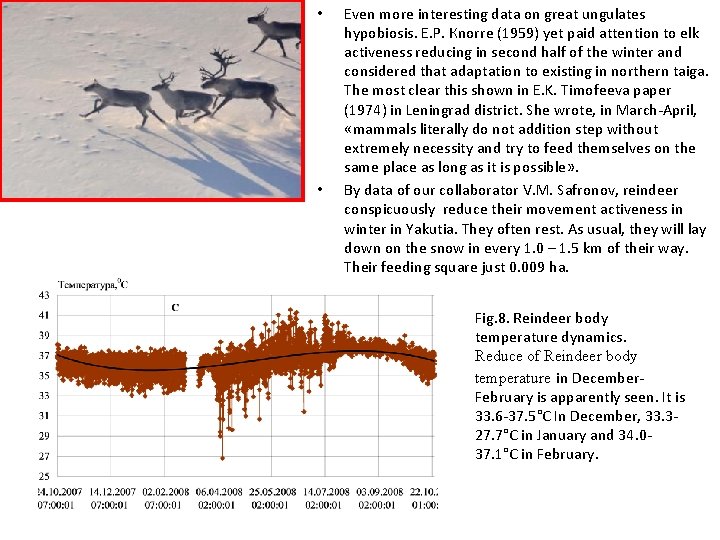  • • Even more interesting data on great ungulates hypobiosis. Е. P. Кnorre