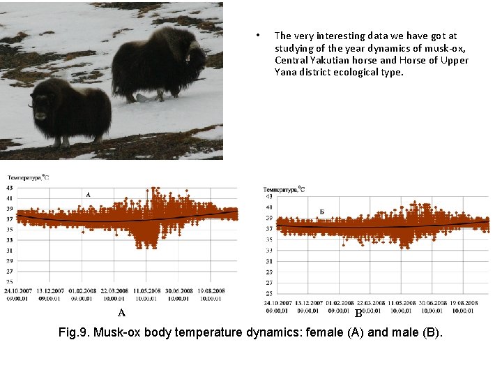  • A The very interesting data we have got at studying of the