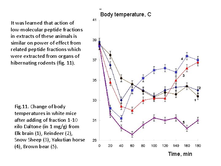 Body temperature, C It was learned that action of low-molecular peptide fractions in extracts