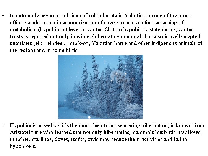  • In extremely severe conditions of cold climate in Yakutia, the one of