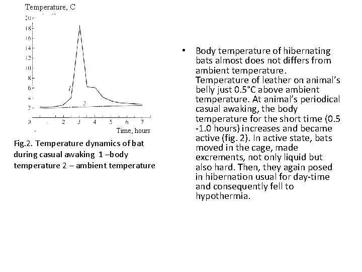 Temperature, C Time, hours Fig. 2. Temperature dynamics of bat during casual awaking 1