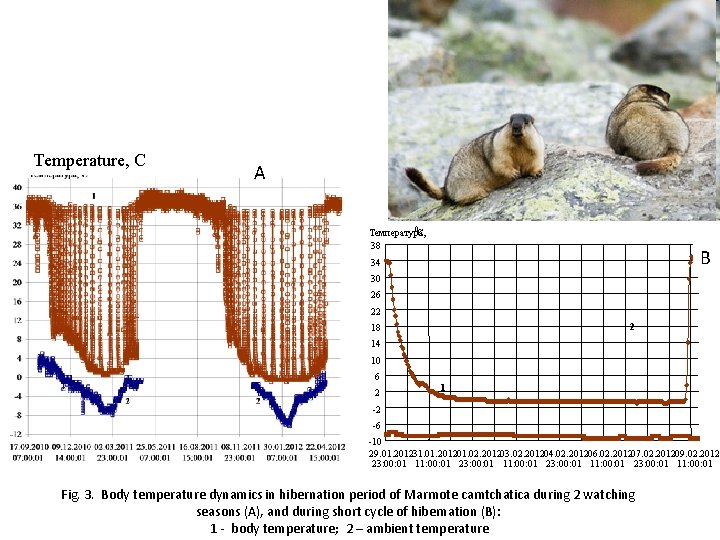 Temperature, C А В 0 С Температура, 38 B 34 30 26 22 2