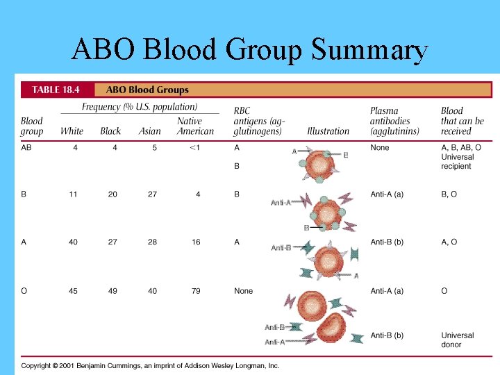 ABO Blood Group Summary 