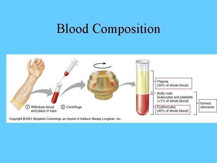 Blood Composition 