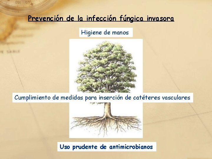 Prevención de la infección fúngica invasora Higiene de manos Cumplimiento de medidas para inserción