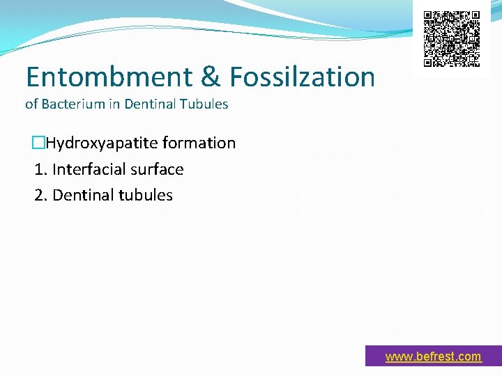 Entombment & Fossilzation of Bacterium in Dentinal Tubules �Hydroxyapatite formation 1. Interfacial surface 2.