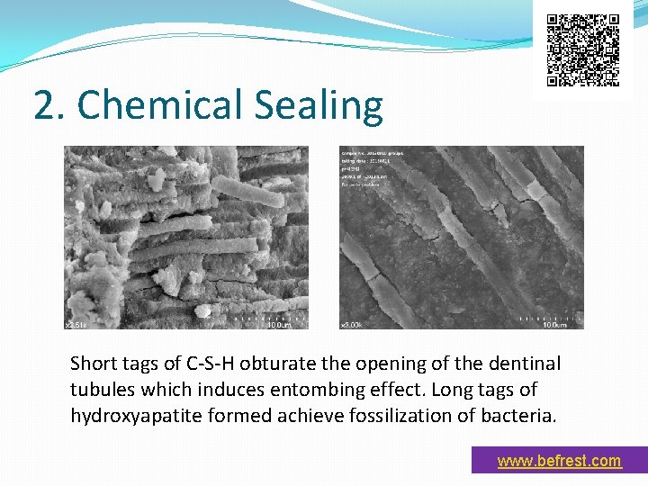 2. Chemical Sealing Short tags of C-S-H obturate the opening of the dentinal tubules 2. Chemical Sealing Short tags of C-S-H obturate the opening of the dentinal tubules
