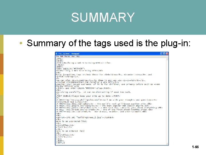 SUMMARY • Summary of the tags used is the plug in: 1 -66 
