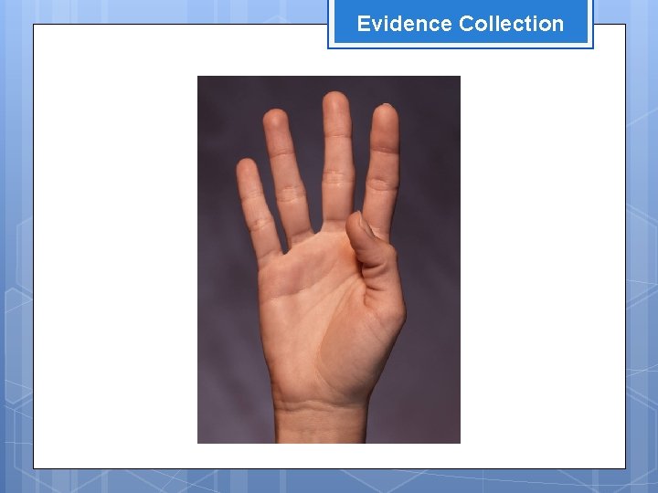 Evidence Collection 