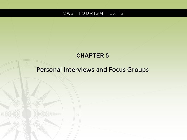 CABI TOURISM TEXTS CHAPTER 5 Personal Interviews and Focus Groups 