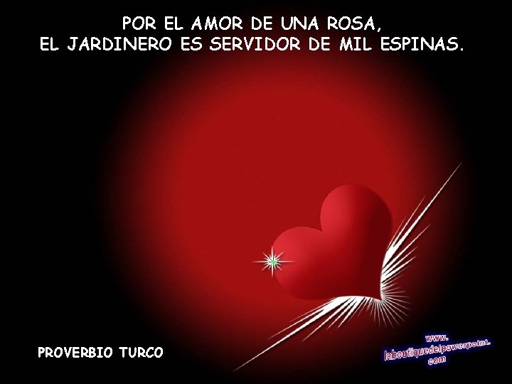 POR EL AMOR DE UNA ROSA, EL JARDINERO ES SERVIDOR DE MIL ESPINAS. PROVERBIO