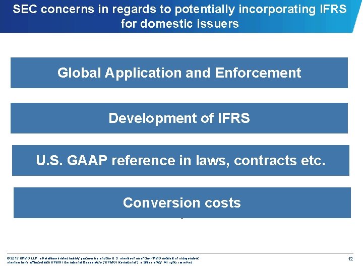 SEC concerns in regards to potentially incorporating IFRS for domestic issuers Global Application and