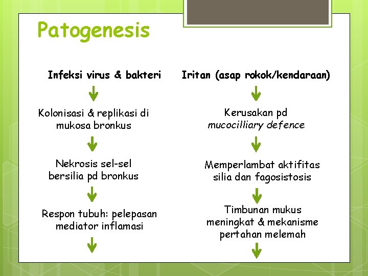 Patogenesis Infeksi virus & bakteri Kolonisasi & replikasi di mukosa bronkus Nekrosis sel-sel bersilia