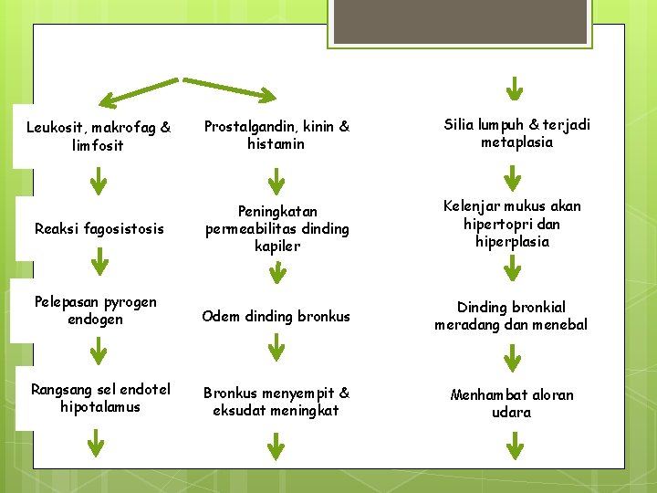 Leukosit, makrofag & limfosit Prostalgandin, kinin & histamin Silia lumpuh & terjadi metaplasia Reaksi