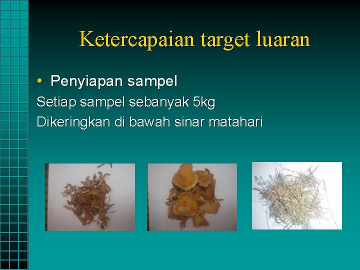 Ketercapaian target luaran • Penyiapan sampel Setiap sampel sebanyak 5 kg Dikeringkan di bawah