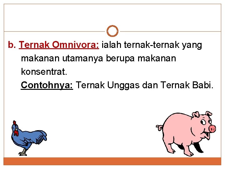 b. Ternak Omnivora: ialah ternak-ternak yang makanan utamanya berupa makanan konsentrat. Contohnya: Ternak Unggas