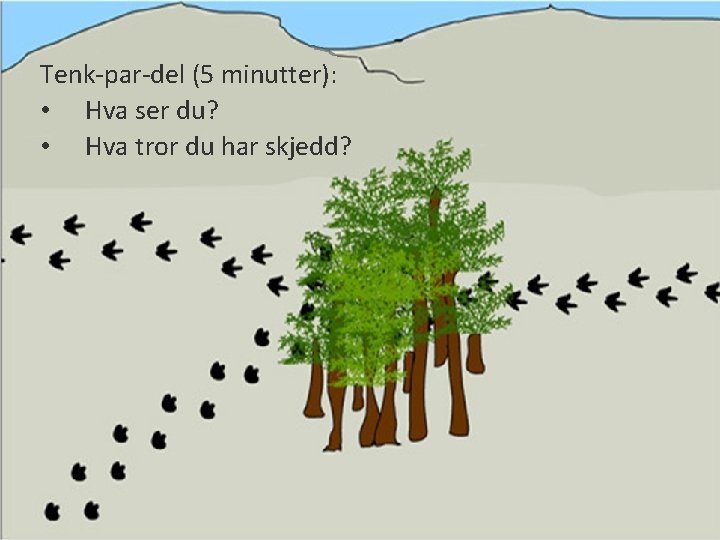 Tenk-par-del (5 minutter): • Hva ser du? • Hva tror du har skjedd? 