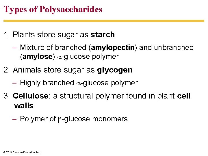 Types of Polysaccharides 1. Plants store sugar as starch – Mixture of branched (amylopectin)