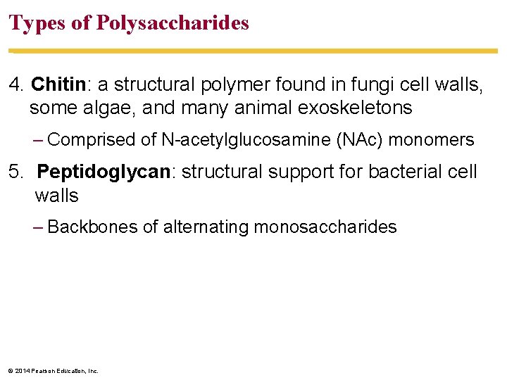 Types of Polysaccharides 4. Chitin: a structural polymer found in fungi cell walls, some