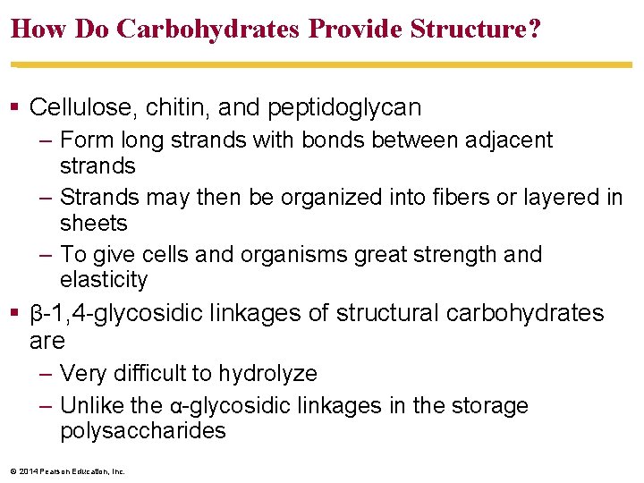 How Do Carbohydrates Provide Structure? § Cellulose, chitin, and peptidoglycan – Form long strands