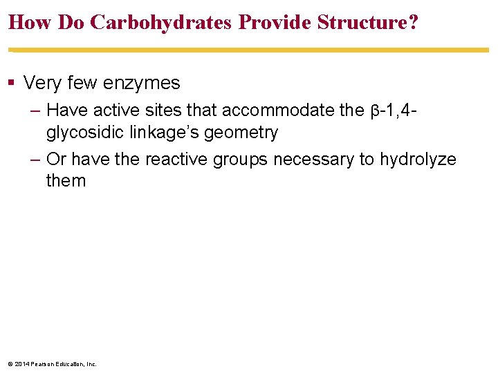 How Do Carbohydrates Provide Structure? § Very few enzymes – Have active sites that