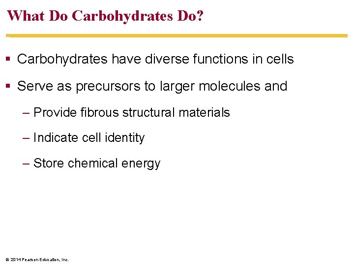 What Do Carbohydrates Do? § Carbohydrates have diverse functions in cells § Serve as