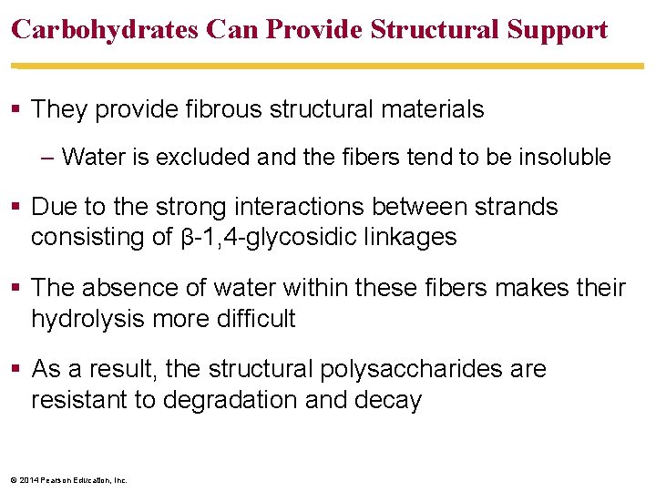 Carbohydrates Can Provide Structural Support § They provide fibrous structural materials – Water is