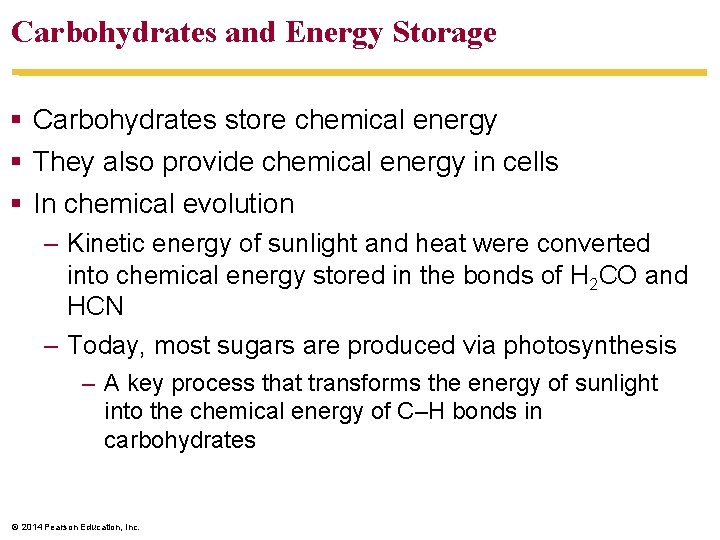 Carbohydrates and Energy Storage § Carbohydrates store chemical energy § They also provide chemical